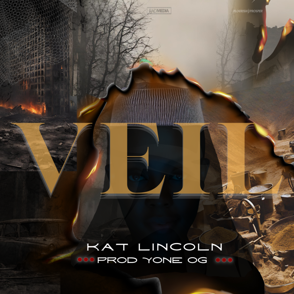 Veil by Kat Lincoln